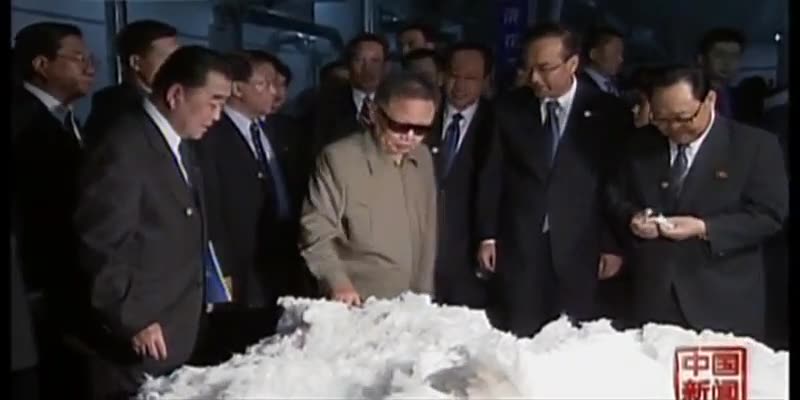 인간 김정일 2011